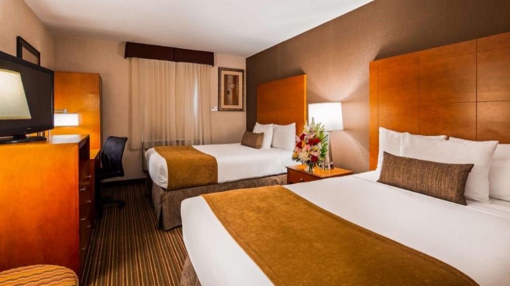 Best Western Kennedy Airport Image 16