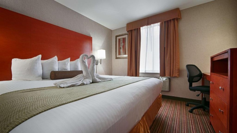 Best Western Kennedy Airport Image 21
