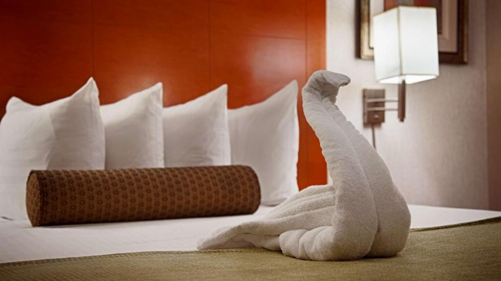 Best Western Kennedy Airport Image 7